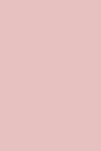 Cartolina Iris 50x65cm 185g rosa